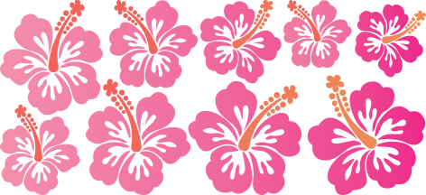 Wraps (CHOOSE DESIGN))