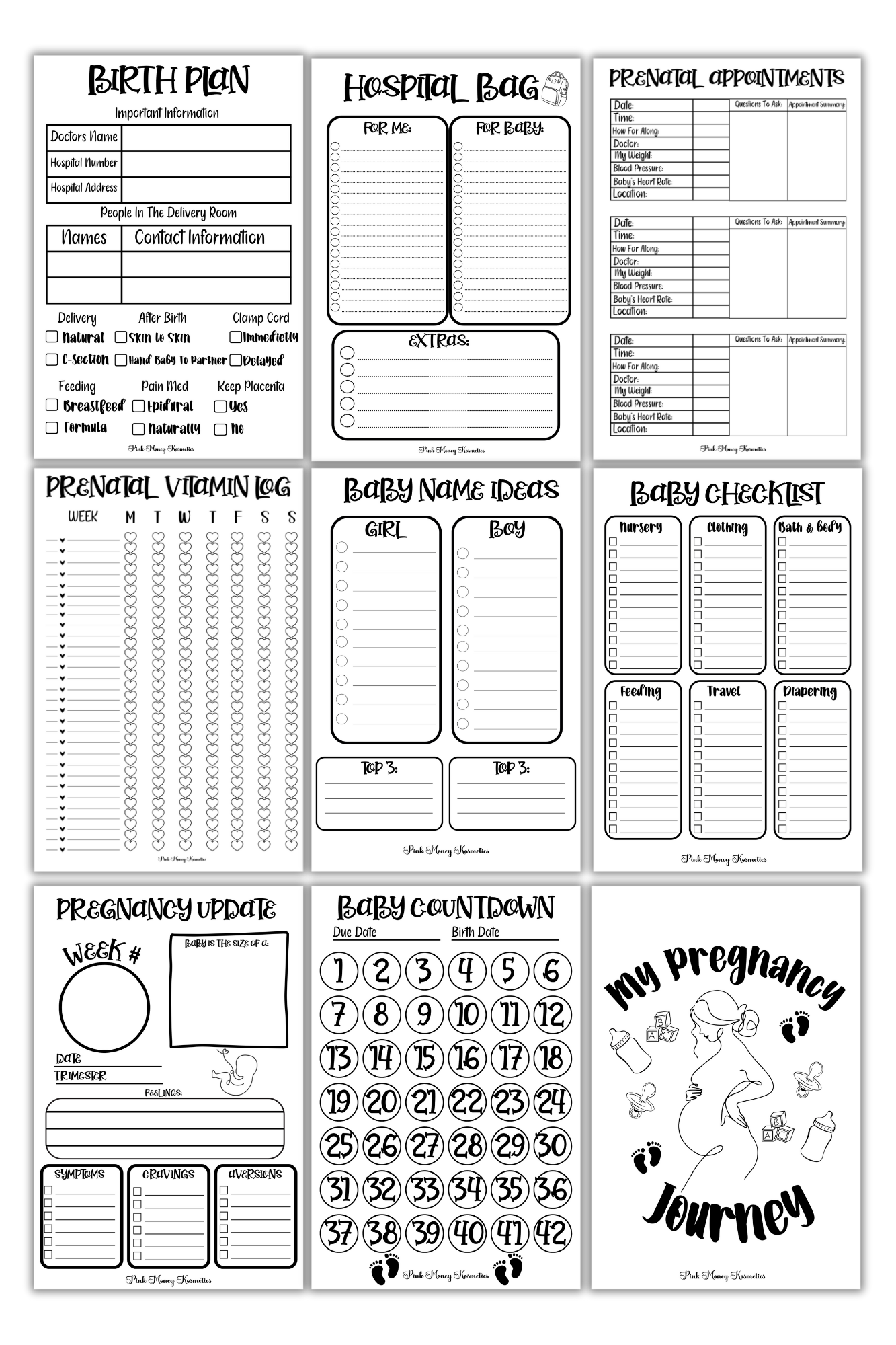 Pregnancy Journey Bundle (Digital File)