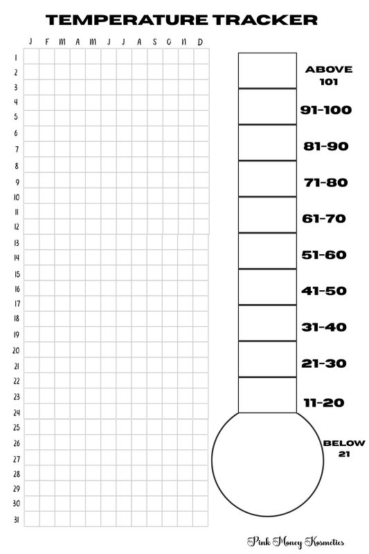Temperature Log Tracker (Physical File)