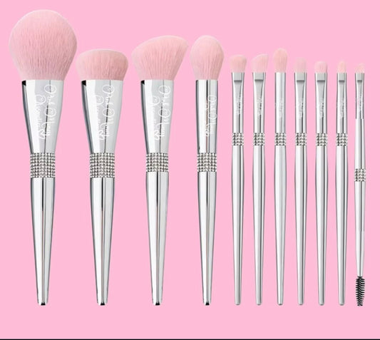 11pc brush set (1 left)
